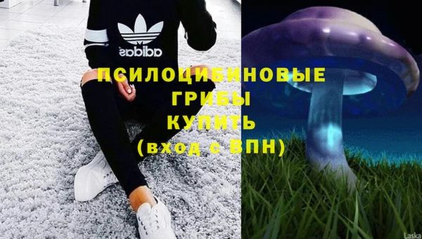тгк Абдулино