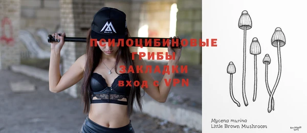 тгк Абдулино