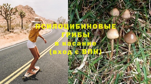 прущая мука Абинск