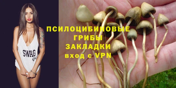 тгк Абдулино