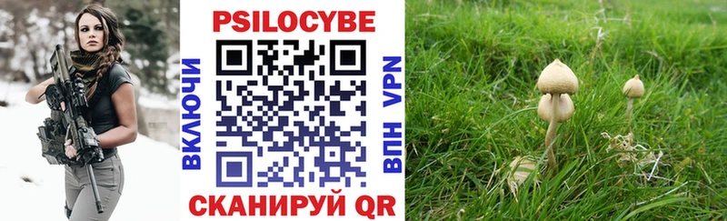 наркота  OMG как войти  Псилоцибиновые грибы MAGIC MUSHROOMS  Зуевка 